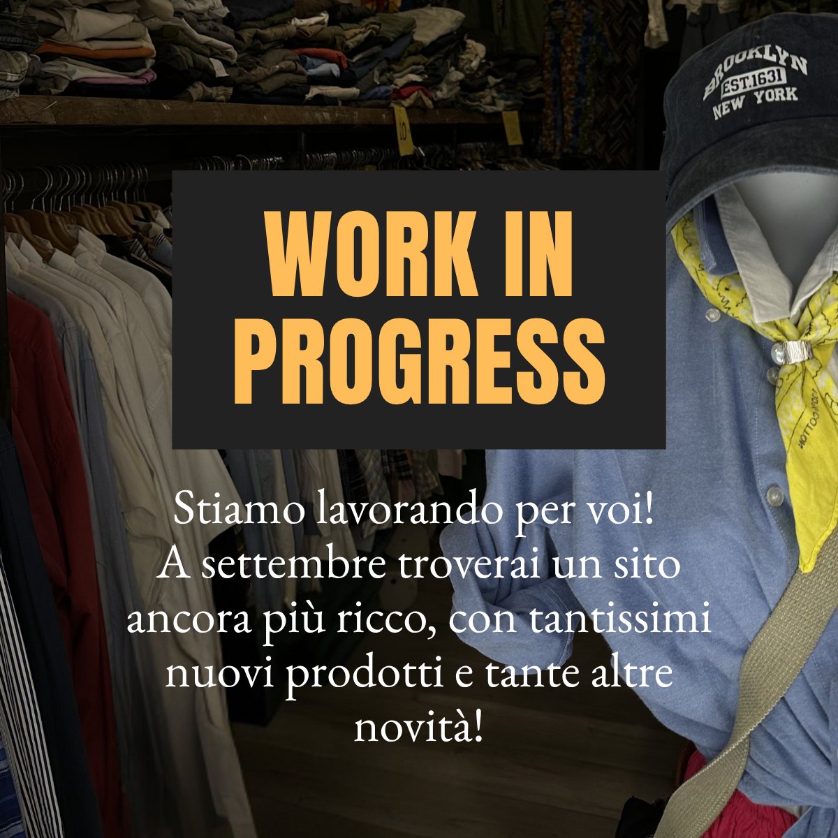 Work in Progress